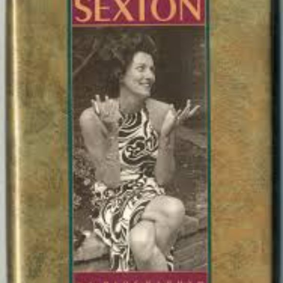 Anne Sexton copy cat zebra print dress size medium - Picture 2 of 5